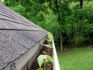 clogged-gutters
